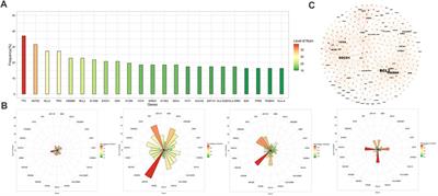 Genetic Landscape of Relapsed and Refractory Diffuse Large B-Cell Lymphoma: A Systemic Review and Association Analysis With Next-Generation Sequencing